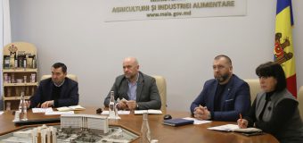 La MAIA a avut loc a treia rundă de discuții între producătorii și procesatorii de semințe de floarea soarelui