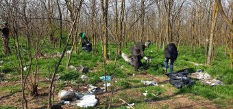 (VIDEO) Ministerul Mediului și Moldsilva lansează o acțiune de salubrizare a pădurilor
