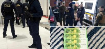 CNA a desfășurat mai multe activități săptămâna trecută