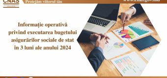 Executarea bugetului asigurărilor sociale de stat în primele 3 luni din an: Venituri de 11382,8 mln. lei