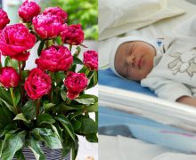 Patru bebeluși s-au născut la spitalul „Gheorghe Paladi” în Noaptea Învierii