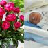 Patru bebeluși s-au născut la spitalul „Gheorghe Paladi” în Noaptea Învierii