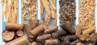 Granturi de 75 mii dolari pentru 10 întreprinderi producătoare de biocombustibil