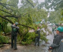 Serviciile Primăriei Chișinău intervin la lichidarea consecințelor ploii abundente