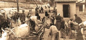 PSDE: Este imperativ necesar ca Parlamentul să condamne deportările staliniste ale moldovenilor și foametea din 1946-47 din Basarabia ca genocid