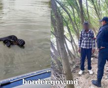 Un cetățean indian a decedat în timp ce încerca să treacă ilegal frontiera