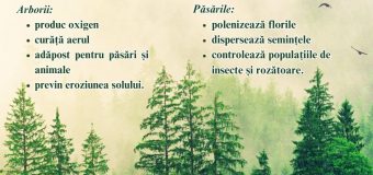 Astăzi marcăm Ziua Păsărilor și a Arborilor