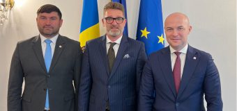 Participarea PSDE la scrutinele din această toamnă discutată cu Ambasadorul României