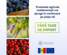 Vești extraordinare! Consiliul European a prelungit cu încă un an liberalizarea comerțului dintre Uniunea Europeană și Republica Moldova