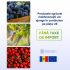 Vești extraordinare! Consiliul European a prelungit cu încă un an liberalizarea comerțului dintre Uniunea Europeană și Republica Moldova