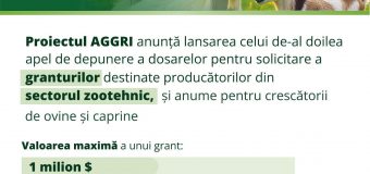 Continuă apelul de depunere a cererilor pentru granturi oferite de proeictul AGGRI pentru crescătorii de ovine și caprine