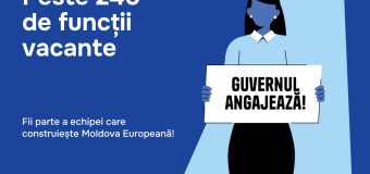 Peste 240 funcții publice vacante sunt disponibile în cadrul autorităților din subordinea Guvernului