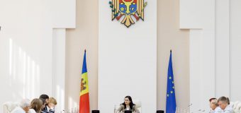 Cristina Gherasimov consultă agenda europeană a țării noastre cu partidele politice extraparlamentare