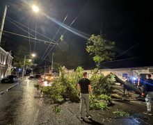 (FOTO) Furtuna de ieri a distrus mai mulți copaci în Capitală