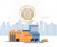 (VIDEO) Cum Fabrica de tutun din Orhei încearcă să țină în viață o ramură care cândva era de bază pentru economia naţională