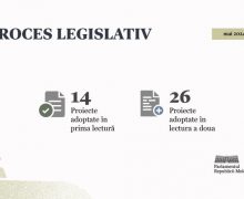 Activitatea în luna mai: Parlamentul a votat 40 de proiecte de acte normative