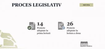 Activitatea în luna mai: Parlamentul a votat 40 de proiecte de acte normative