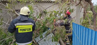 (FOTO) Furtuna a făcut ravagii pe teritoriul țării! Salvatorii au intervenit pentru înlăturarea fragmentelor de acoperișuri distruse și pentru defrișarea copacilor doborâți