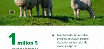 2 august – termenul limită pentru solicitarea granturilor oferite de proiectul AGGRI crescătorilor de ovine și caprine