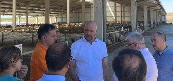 Ministrul Bolea a vizitat în Spania o fermă de creștere a oilor