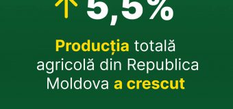 Producția agricolă a crescut cu 5,5% de la începutul anului