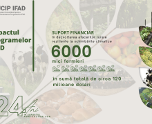 Proiectele IFAD în Moldova: Investiții de circa 264 mln. dolari și peste 20 de mii de locuri de muncă create