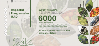 Proiectele IFAD în Moldova: Investiții de circa 264 mln. dolari și peste 20 de mii de locuri de muncă create