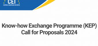 MAE informează: ICE lansează apel de propuneri pentru cofinanțarea proiectelor de transfer de bune practici de la statele membre UE