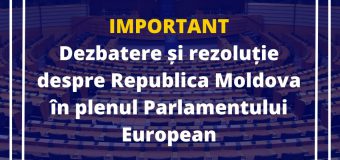 În Parlamentul European se va dezbate o rezoluție cu privire la „Întărirea rezilienței Republicii Moldova în fața ingerințelor dinspre Rusia înaintea alegerilor prezidențiale”