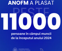 Peste 11 mii de persoane au fost plasate deja în câmpul muncii de către ANOFM de la începutul anului 2024