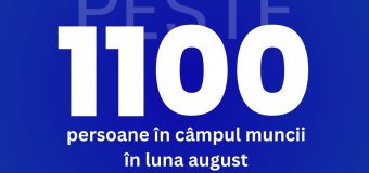 Peste 1000 de persoane au fost încadrate în muncă pe parcursul lunii august