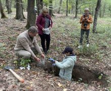 Cercetări pedologice în zona protejată a Rezervației „Codrii”