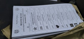 CEC a distrus 26 mii buletine de vot destinate pentru 3 secții de votare din Federația Rusă