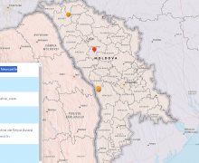 7 focare de gripă aviară înregistrate în Republica Moldova