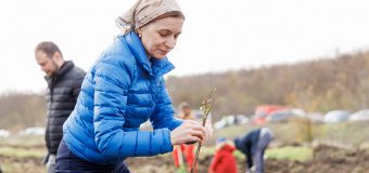 Maia Sandu: Fiecare puiet sădit este un pas înainte spre o planetă mai curată, spre o Moldovă mai verde