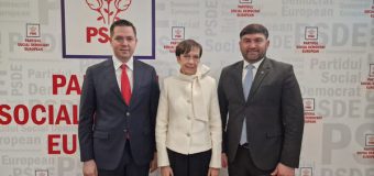 Conducerea PSDE a discutat cu Ambasadoarea Germaniei despre situația social-politică din țară