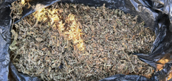 Marijuana și semințe de cânepă de 150 mii lei – ridicate de la doi bărbați din Edineț