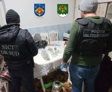 Captură de marijuana de 250 mii lei în Comrat