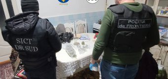 Captură de marijuana de 250 mii lei în Comrat