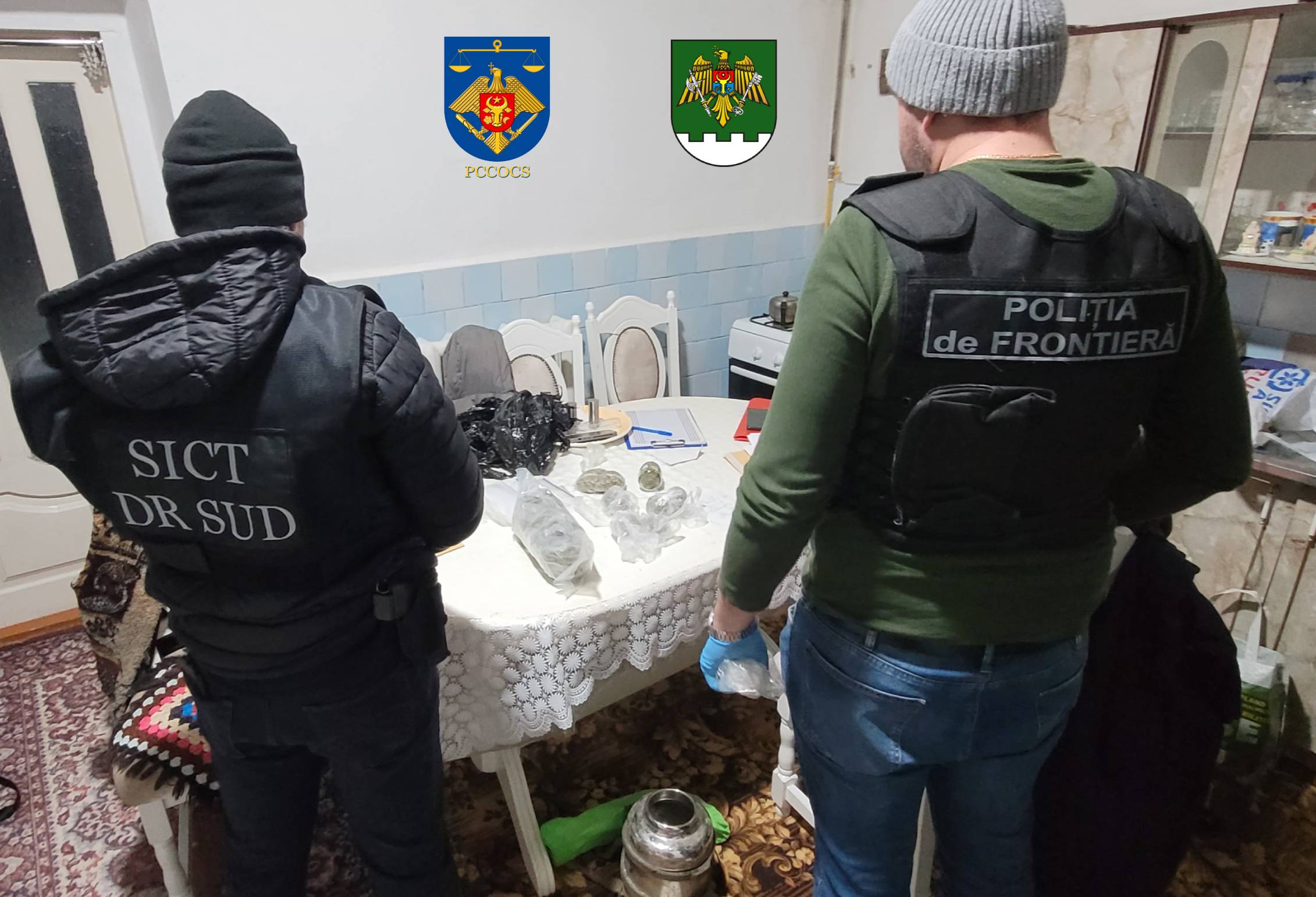 Captură de marijuana de 250 mii lei în Comrat