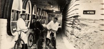 Vinăriile Cricova și Mileștii Mici – incluse în Lista indicativă a Patrimoniului Mondial UNESCO
