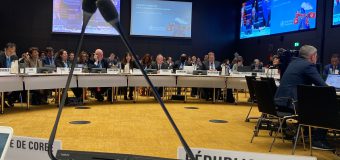 Ministra Sănătății participă la cea de-a 156-a sesiune a Comitetului Executiv al OMS