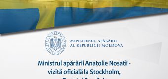 Ministrul Apărării efectuează o vizită oficială la Stockholm