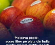 Premierul: Moldova poate și a reușit să-și extindă piețele de export pentru merele moldovenești