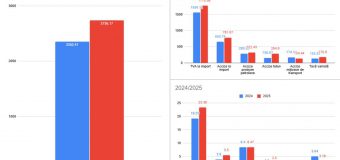 Peste 2,73 miliarde de lei colectate de Serviciul Vamal la bugetul de stat în ianuarie 2025