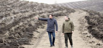 Astăzi a fost lansată campania de împădurire de primăvară