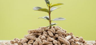 Ministerul Energiei a aprobat lista standardelor de calitate pentru biocombustibili solizi