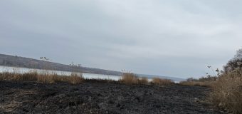 Ministrul Mediului a vizitat terenul de la Ghidighici care a fost mistuit de flăcări