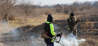 Salvatorii și pompierii au desfășurat activități de prevenire a incendiilor de vegetație uscată