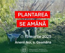 Plantarea arborilor planificată pentru 1 martie, se amână pentru data de 15 martie